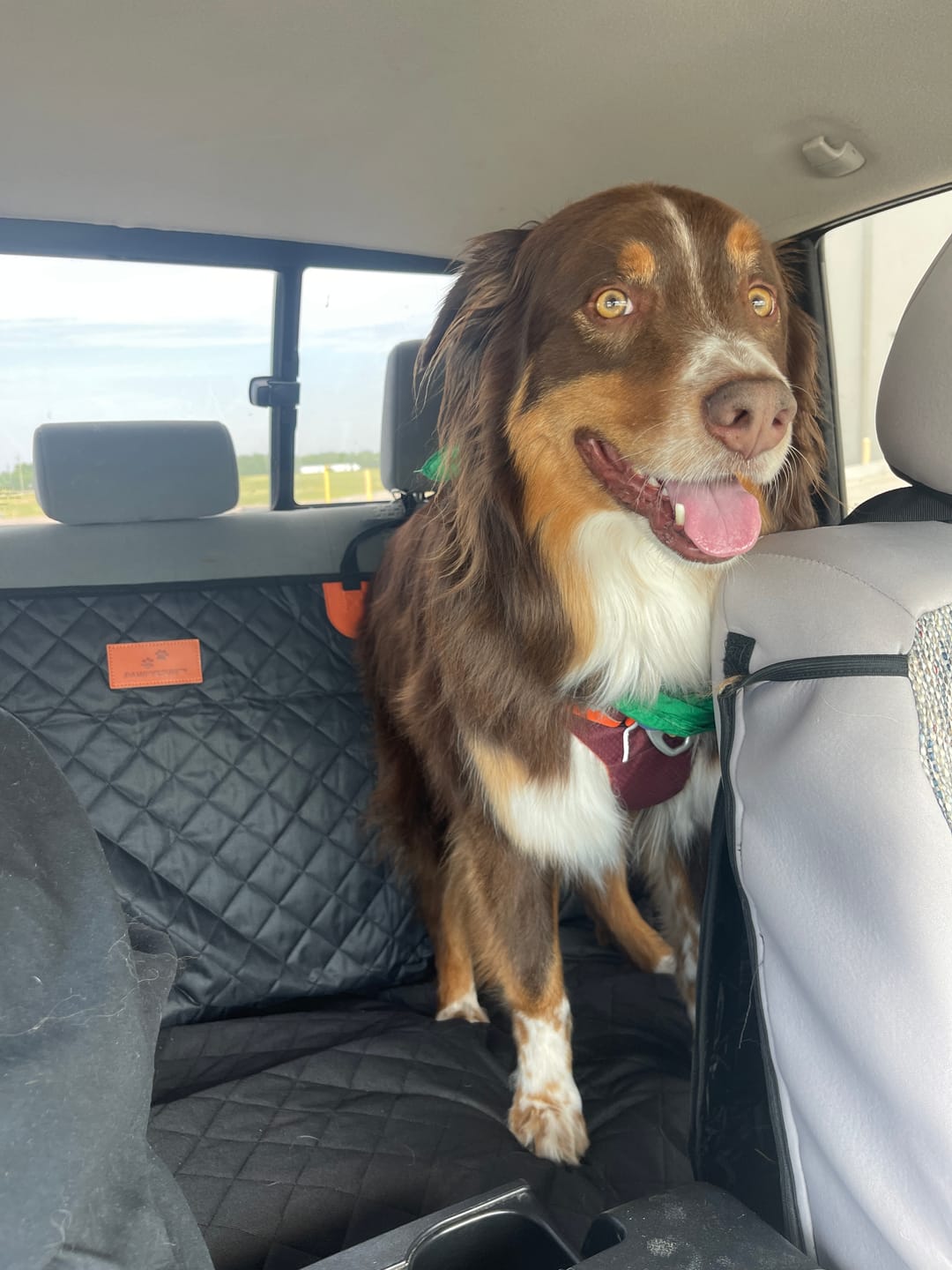 Customer photo review of CozyRider™