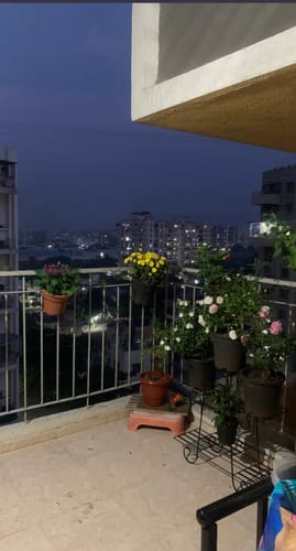 Customer photo review of Metal Railing Pot Stand (Set of 2) Decorative Pots Holder for Railings
