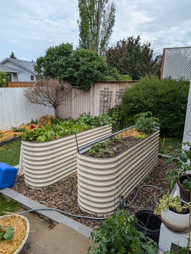 Customer photo review of 32" Tall Modular 9 in 1