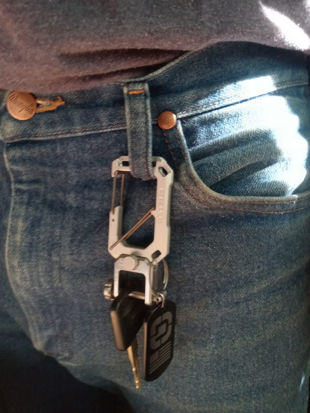 Customer photo review of DANGO DOG TAG