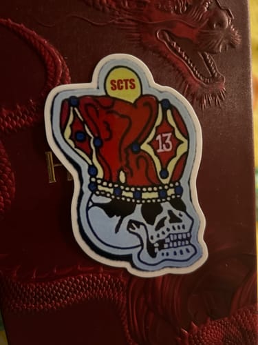 Customer photo review of DIE CUT STICKERS