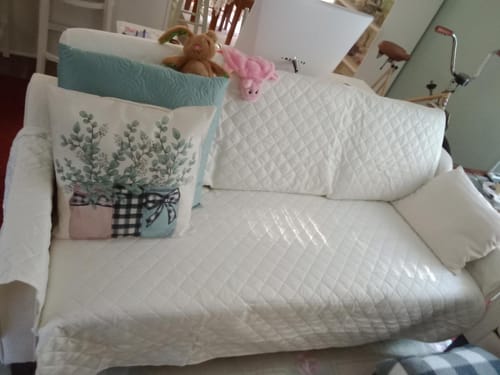 Customer photo review of Thick Velvet Sofa Cover Soft Couch Cover for 3 Cushion Cover Washable Furniture Protector for Dogs Non-Slip Sofa Slipcover with Elastic Strap