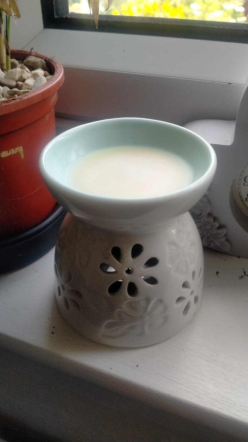 Customer photo review of Daisy Mull Wax Melts