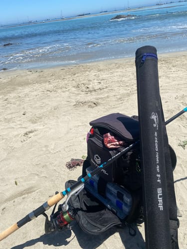 Customer photo review of 9'4" No Excuses Surf Travel Rod with Tube Medium-Heavy Action 3/4oz to 3oz