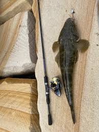 Customer photo review of GUPPIE SHAD - 2.25"