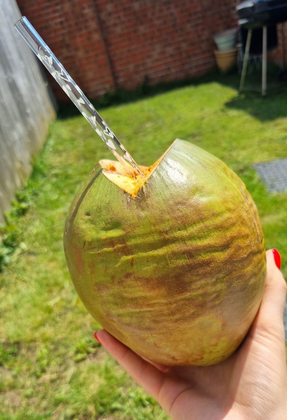 Customer photo review of Fresh Jelly Coconuts