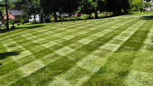 Customer photo review of N-Ext Humic12