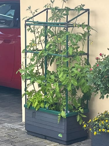 Customer photo review of Haube für "City Jungle" zum Schutz für Pflanzen