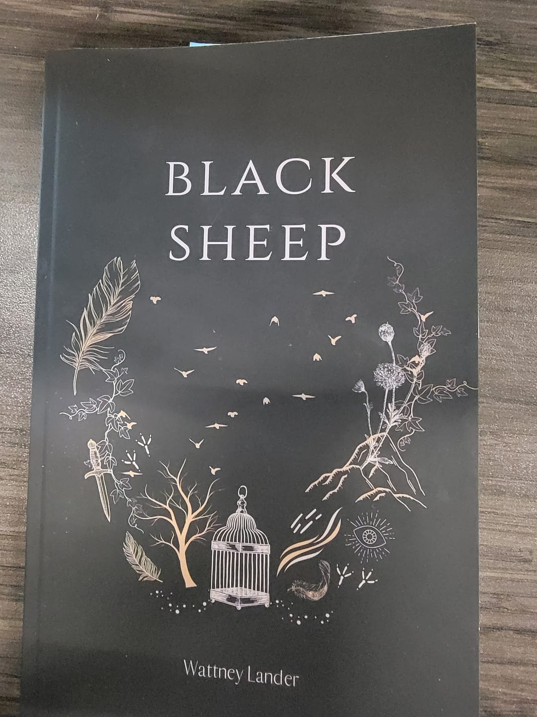 Customer photo review of Black Sheep