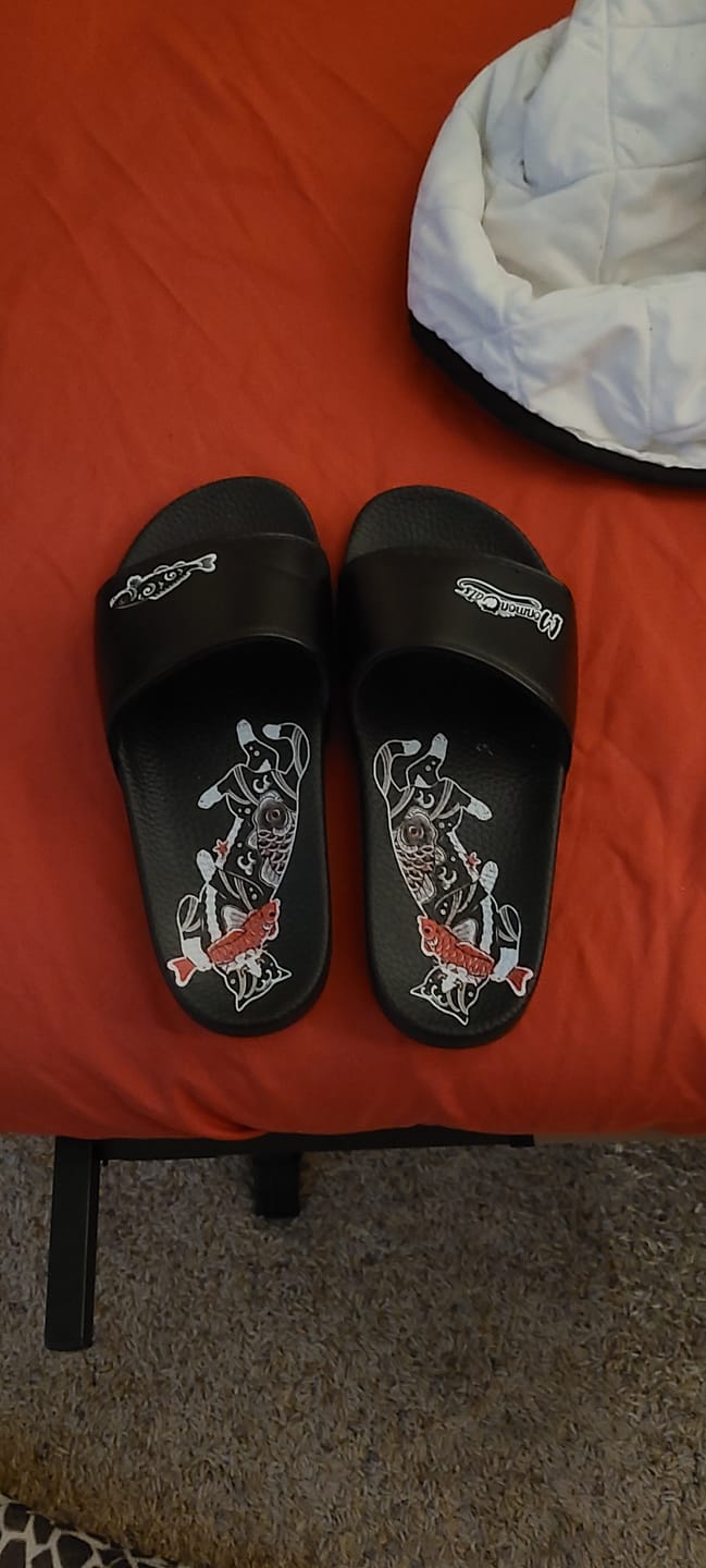 Customer photo review of Koi Cat Slides