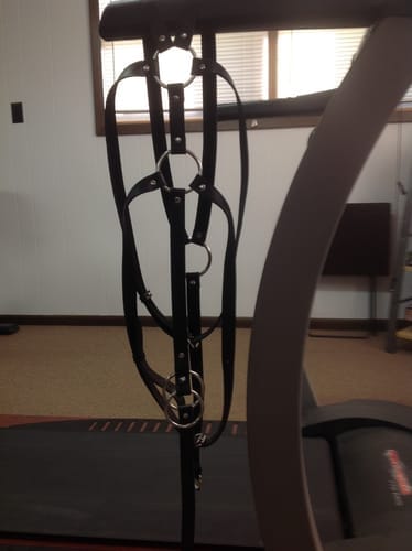 Customer photo review of STRICT Male Body Harness