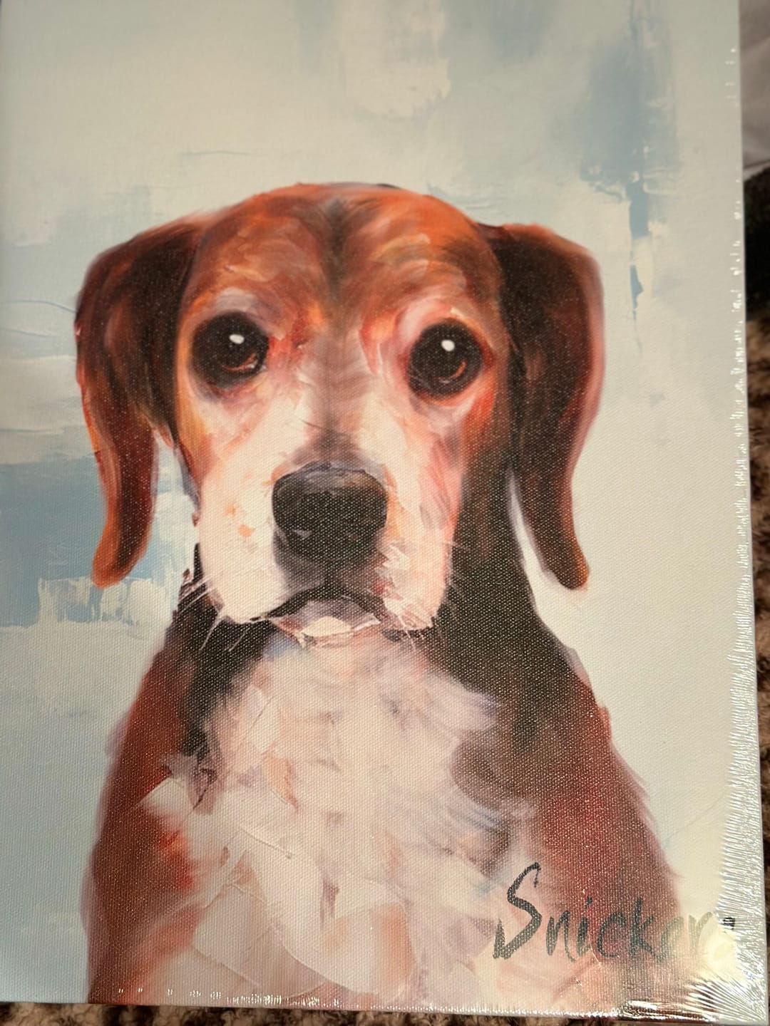 Customer photo review of Classic Soft Sky Canvas