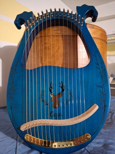 Customer photo review of Cega 19-String 16-String Deer Lyre Harp Resonance Box Instrument