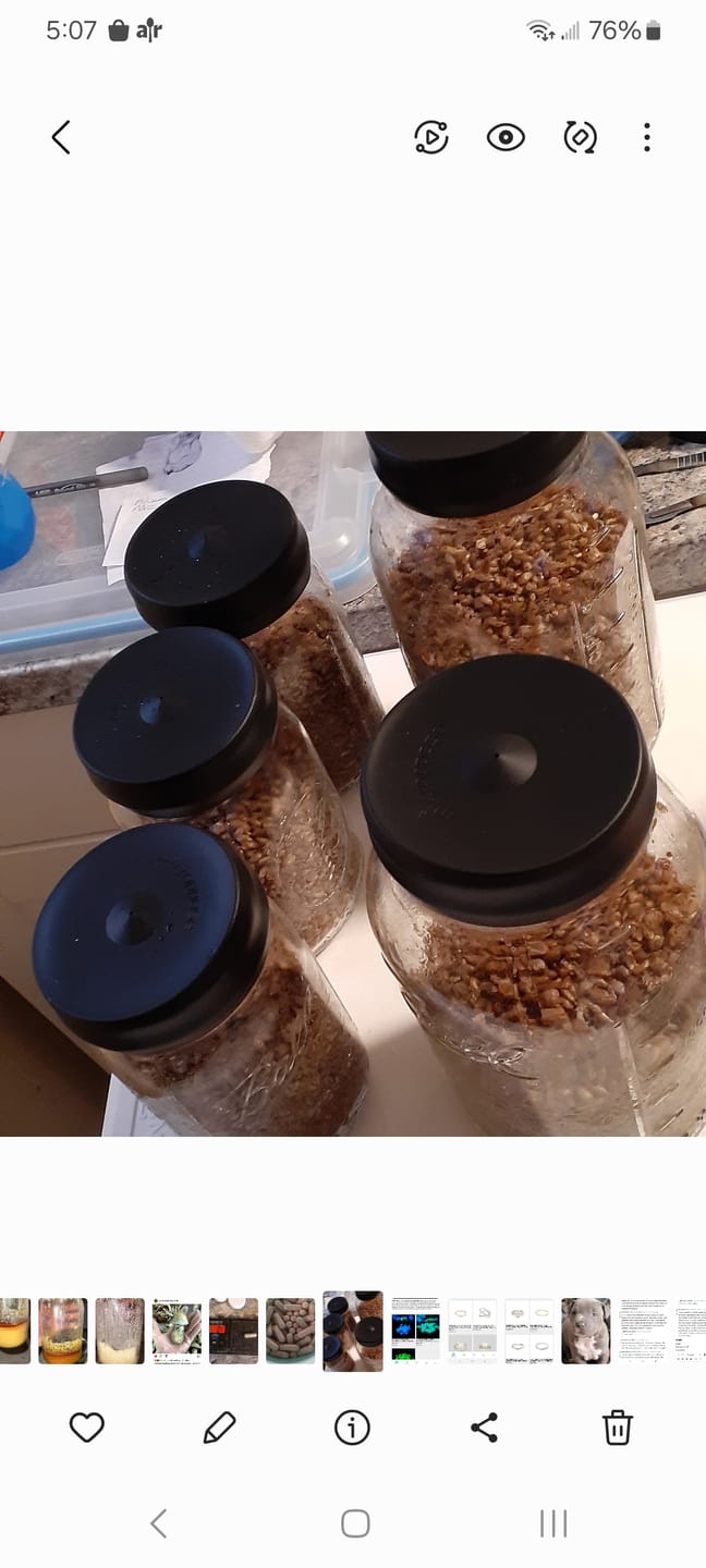 Customer photo review of Silicone Jar Lid Cover