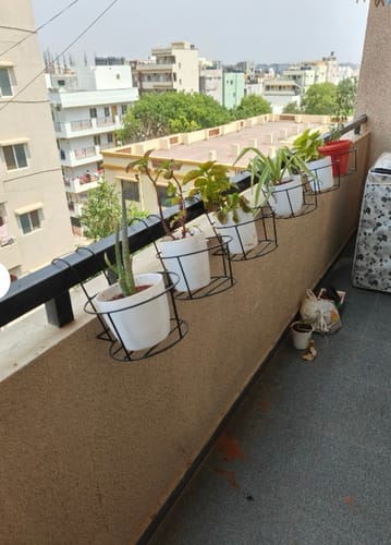 Customer photo review of Metal Railing Pot Stand (Set of 2) Decorative Pots Holder for Railings