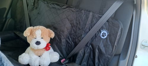 Customer photo review of Car Seat Cover
