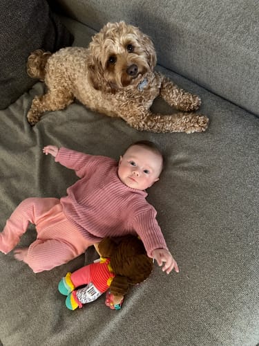 undefined review of Cosy Knit Jumper image 1 out of 1