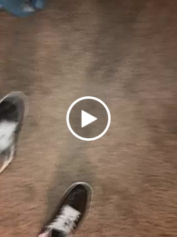 Customer video review of Personalized Sneakers, Custom Sneakers, Put name or business name on it, AJ1-C03200