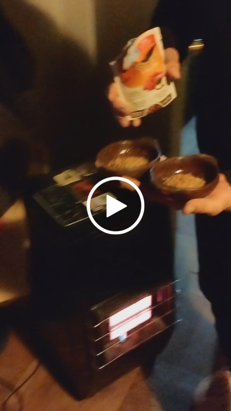 Customer video review of SPECIAL SOBRE CAT GATITOS CARNE 85GR