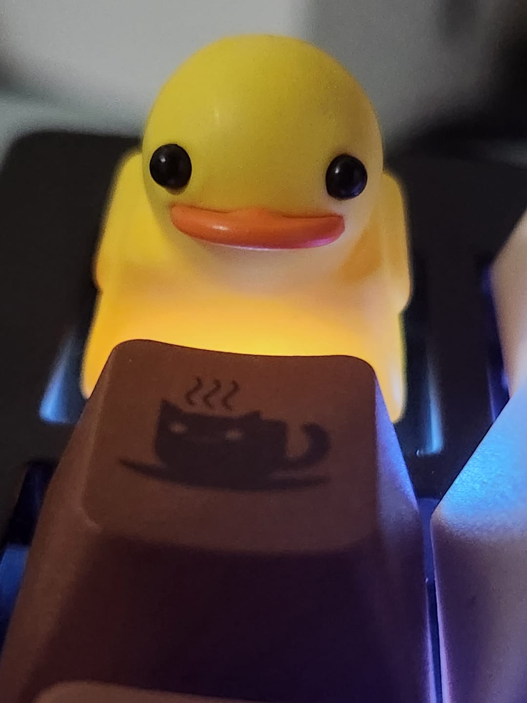 Customer photo review of Duckey Keycap