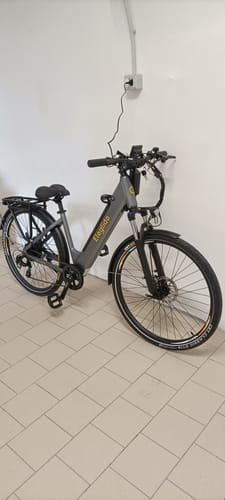 Customer photo review of Electric Trekking Bike T1 Step-Thru