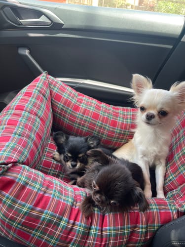 Customer photo review of Seggiolino Auto Cotone Scozzese Rosso