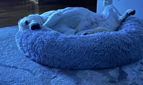 Customer photo review of CalmBed - Motverkar stress & hjälper mot ångest