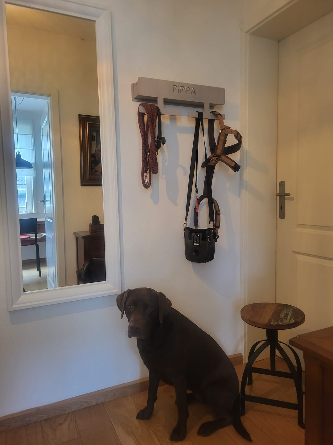 Customer photo review of PERSONALISIERUNG: Hundegarderobe XL