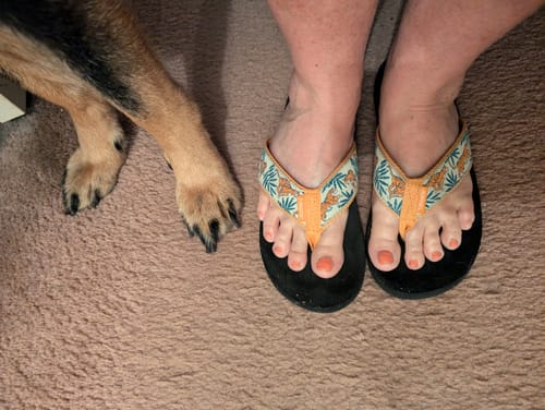 Customer photo review of Running Tigers