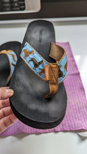 Customer photo review of Dachshunds