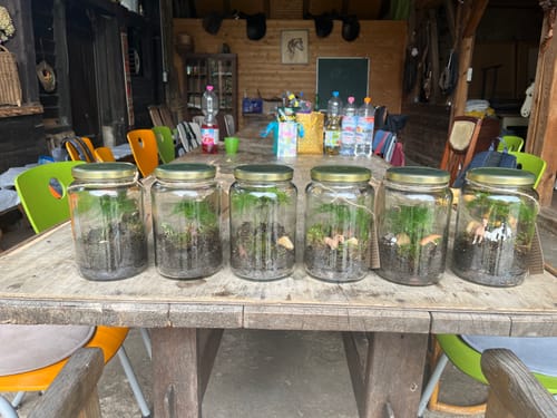 Customer photo review of Flaschengarten-Kindergeburtstags-Set