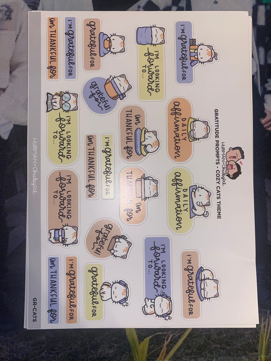 Customer photo review of Sticker Sheet - Gratitude Prompts Cozy Cat Theme