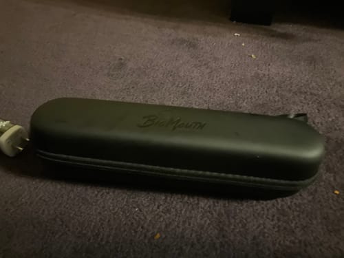 Customer photo review of Big Mouth Sonic Toothbrush Travel Case