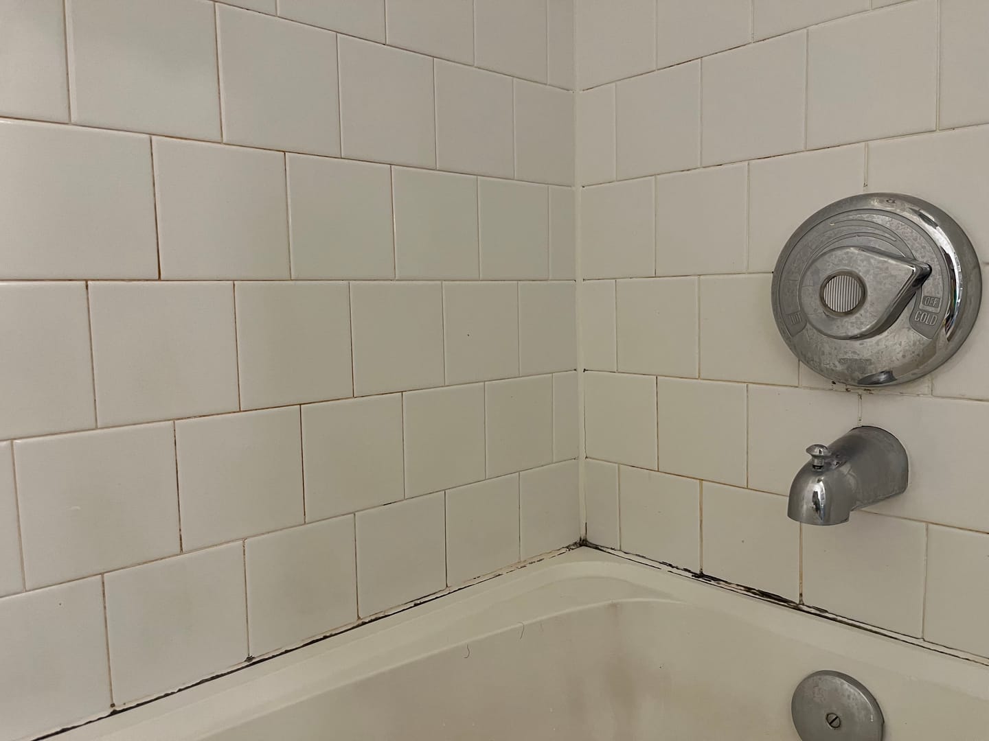 Customer photo review of GLASSGUARD™ Miracle Mold Removal Gel
