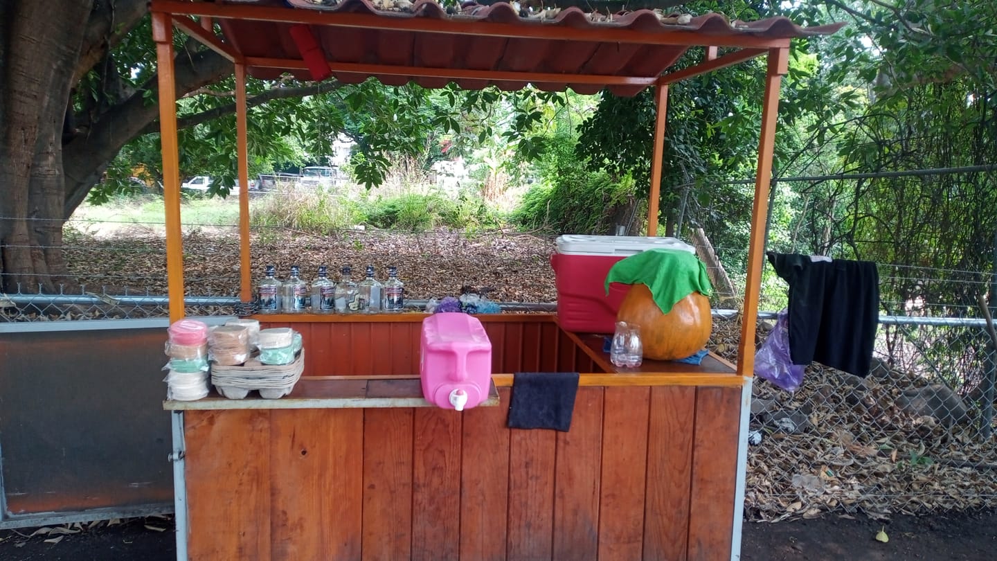 Customer photo review of Obleas de Amaranto 30gr Paquetes Mayoreo  - Snacks para Vender