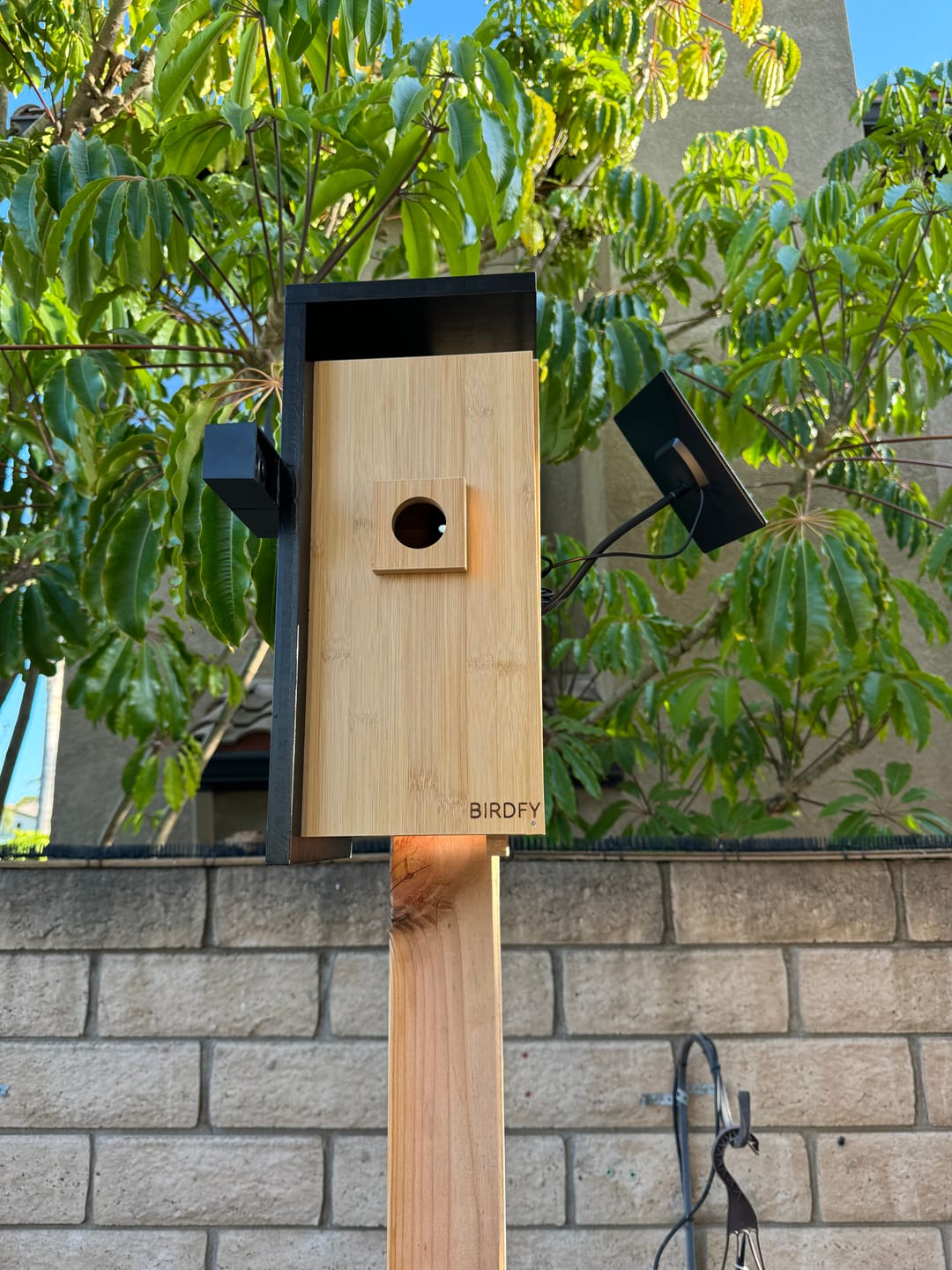Customer photo review of Birdfy Nest - Smart Bird House with Dual Cameras