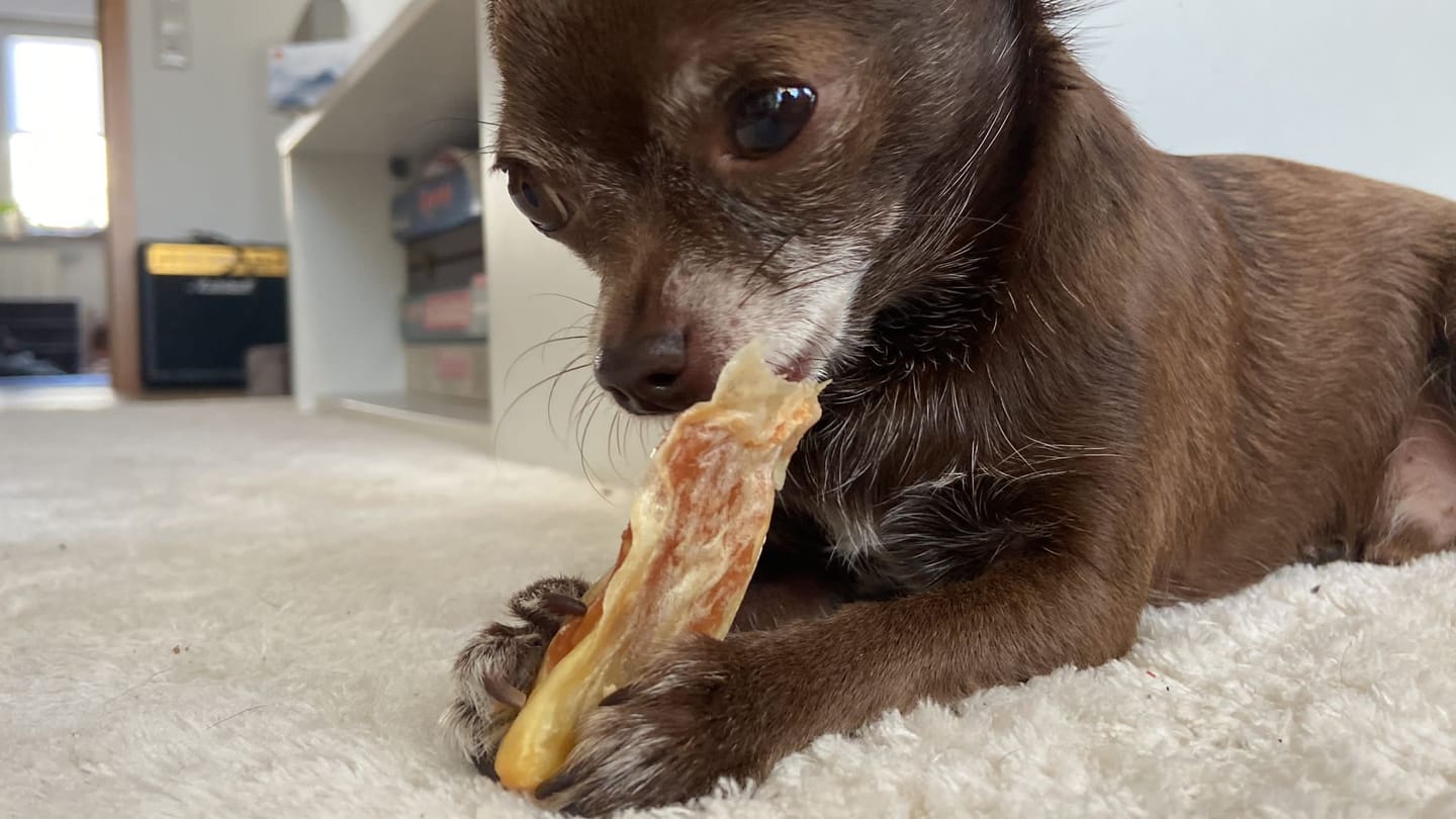 Customer photo review of Allergietest Basic Hund