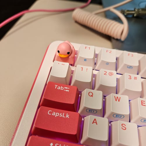 Customer photo review of Duckey Keycap