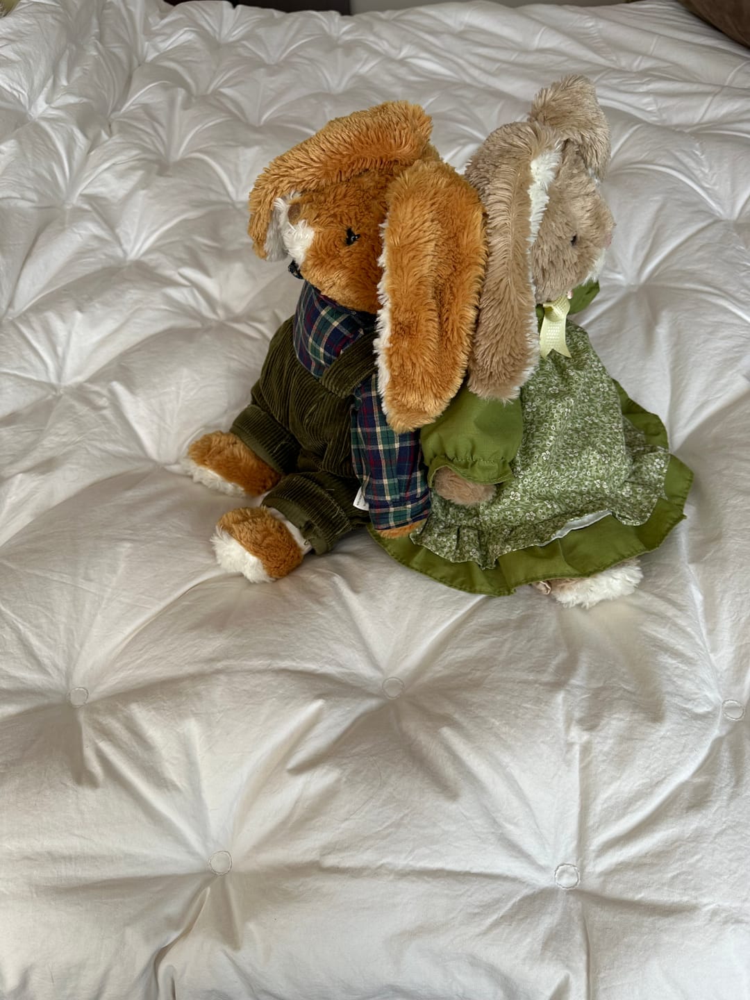 Customer photo review of Plumón Oberhaus