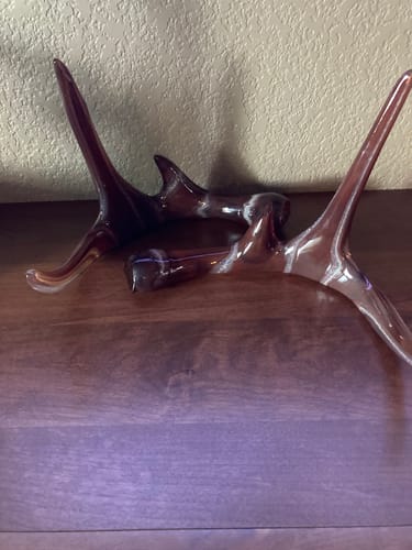 Customer photo review of Set of Glass Deer Antlers with Cremation Ash