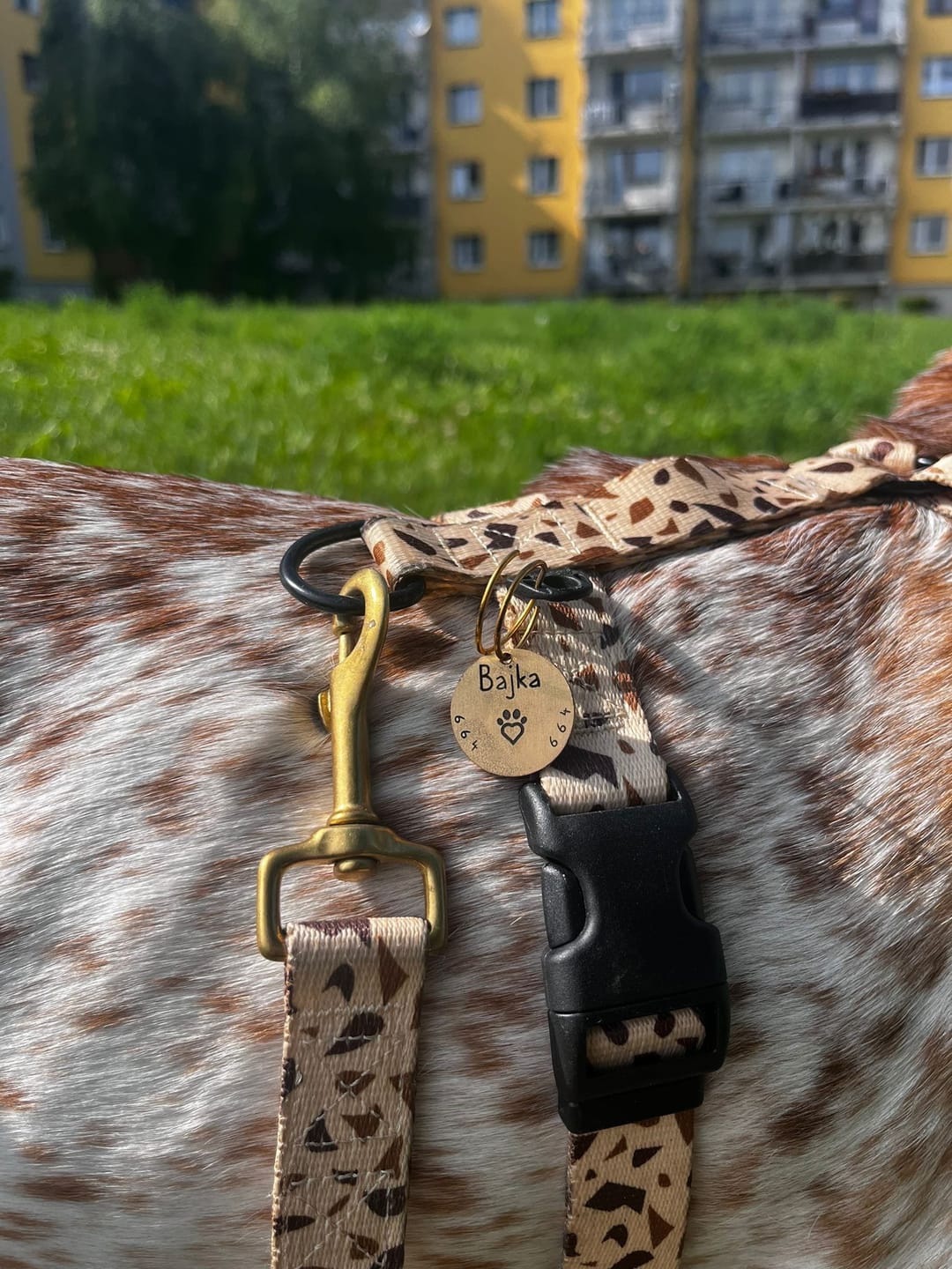 Customer photo review of DARMOWA Mosiężna adresówka z grawerem