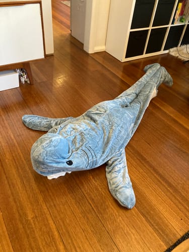 Customer photo review of Shark Blanket