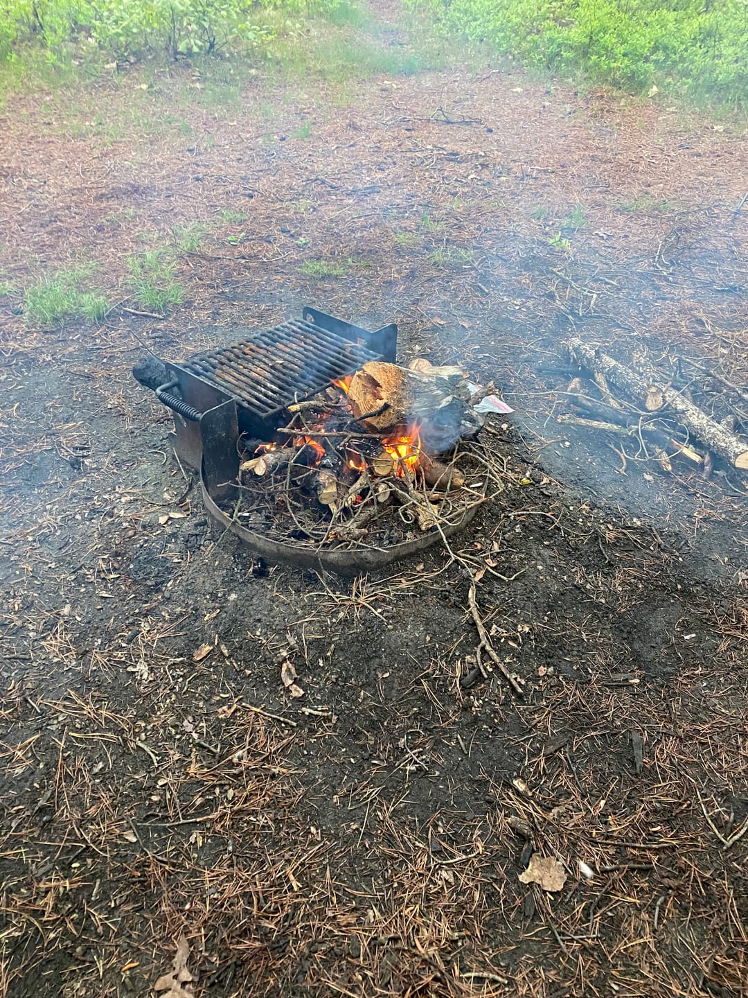 Customer photo review of Fire Plugs [SPRING SALE]