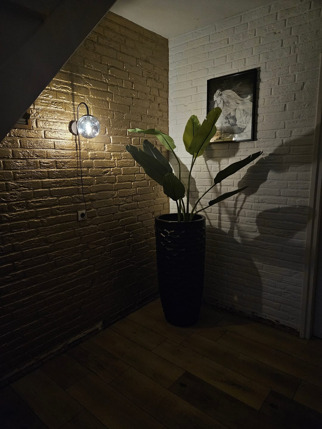 Customer photo review of Strelitzia Kunstplant 120cm