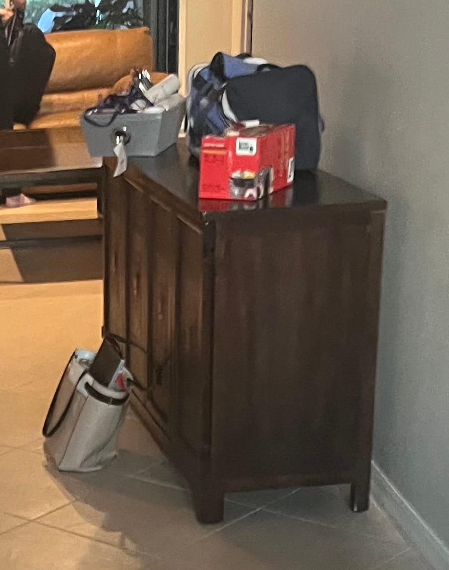 Customer photo review of One Step Paint - Aviary