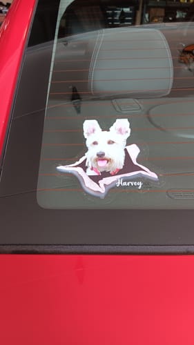 Customer photo review of Personalized Pet lover Crack Car Sticker