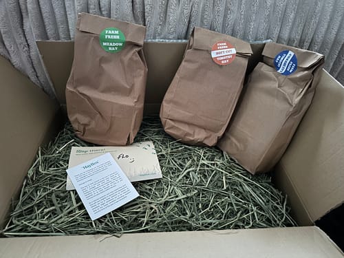 Customer photo review of Timothy Hay Box 'Blend'