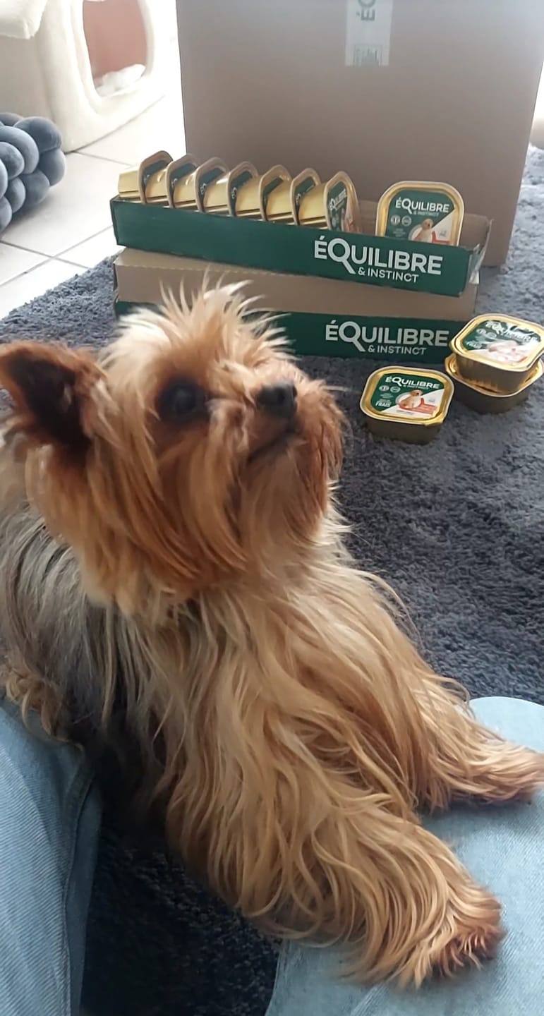 Customer photo review of Pâtées riches en volaille& aux carottes (chiot)