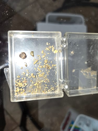Customer photo review of *BOGO* Goldn Paydirt '$5,000 Nugget Giveaway' - Gold Panning Paydirt Concentrate