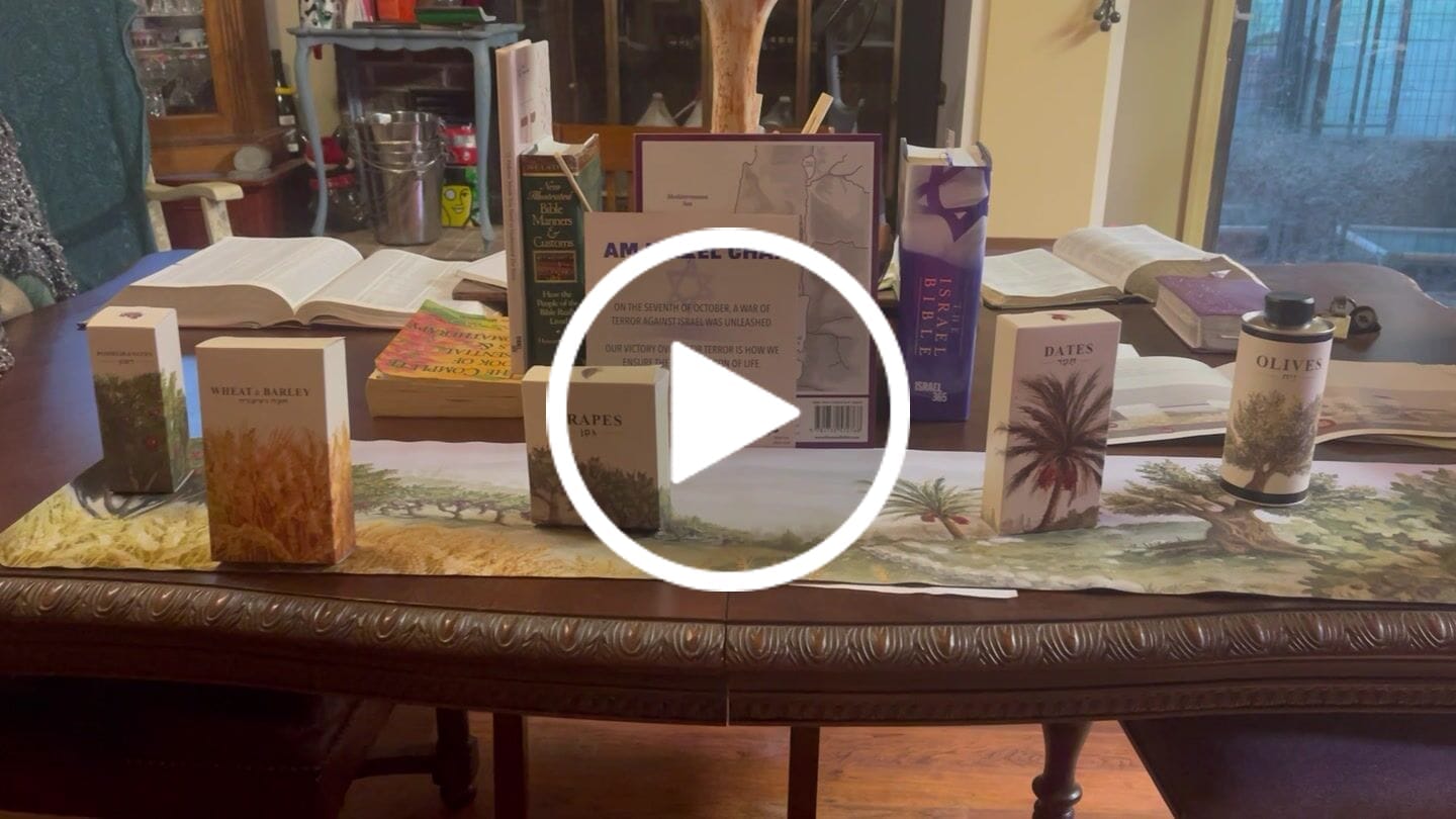 Customer video review of Israel Bible Foundation Set (7 study sheets)